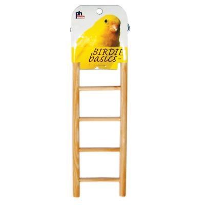 Birdie Basics Ladder 5 Step