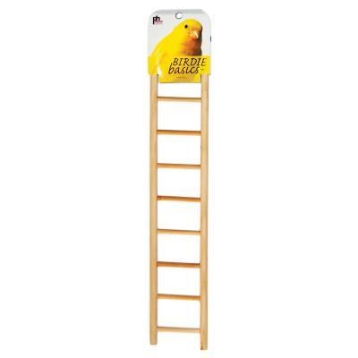 Birdie Basics Ladder 9 Step