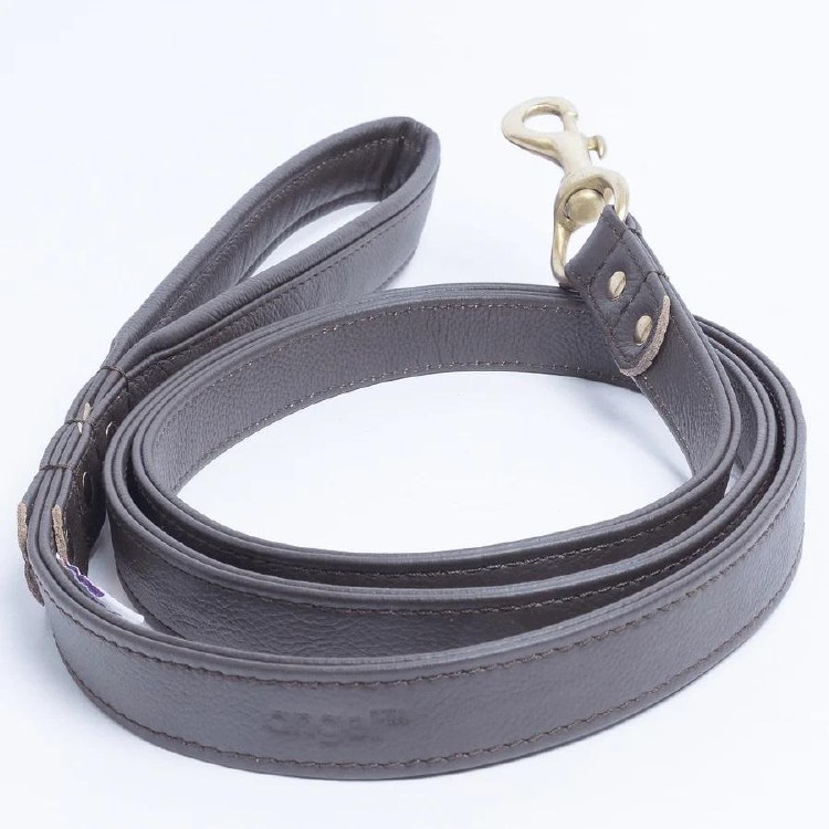 Angel Alpine Leash Brown 1"x6'