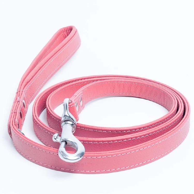 Angel Alpine Leash Pink 1"x6'