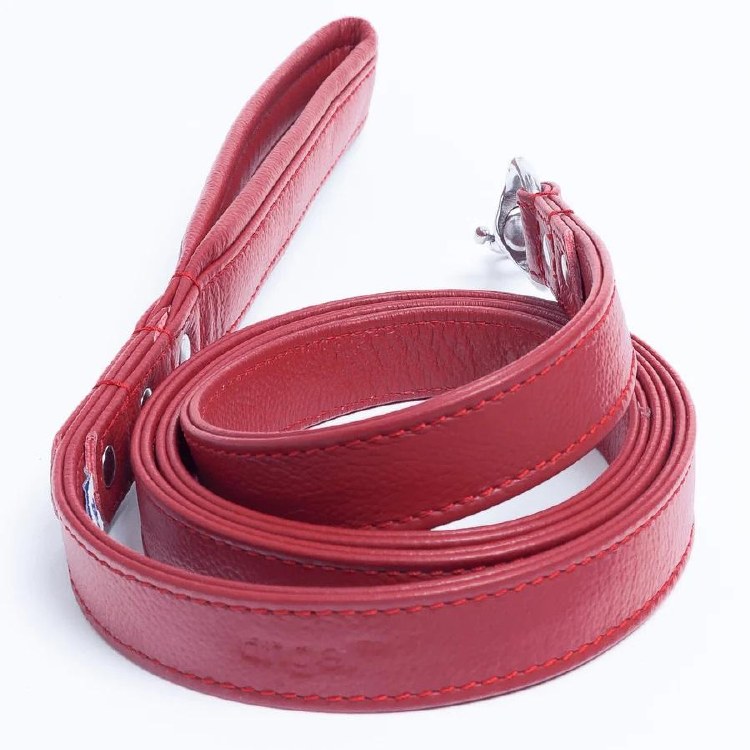 Angel Alpine Leash Red 1"x6'