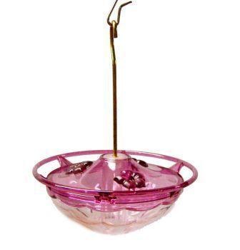 Hummingbird Blossom Plum