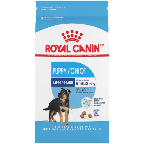 Puppy royal canin maxi best sale