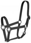 Halter- Economy Horse Size Bk
