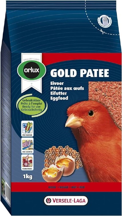 Orlux Gold Patee Red