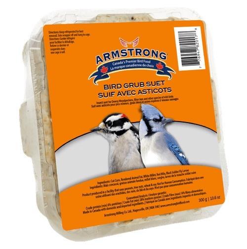 Suet -Insect 300g