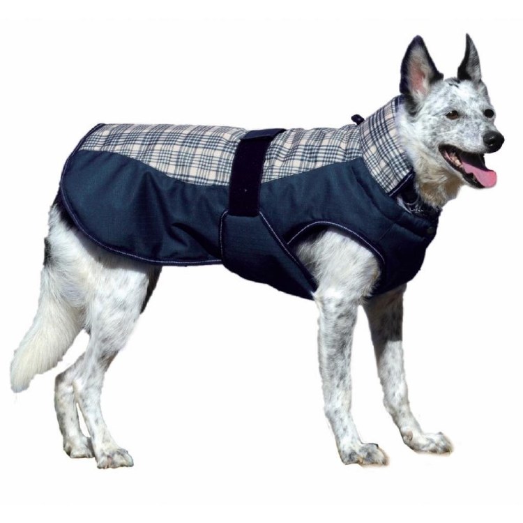 Century Navy Plaid Coat  28"
