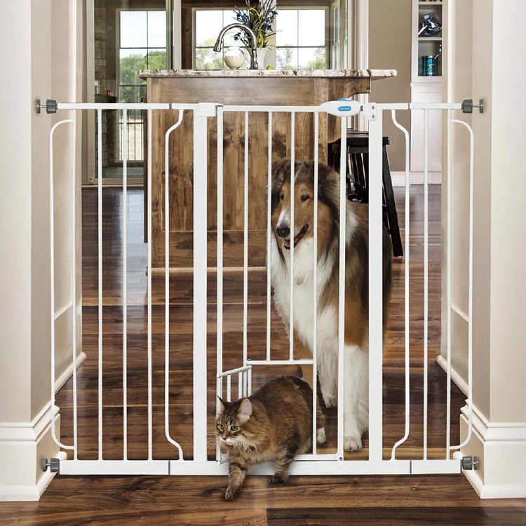 Carlson Extra Tall Gate