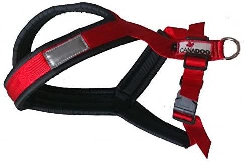 Skijoring Shorty Harness L