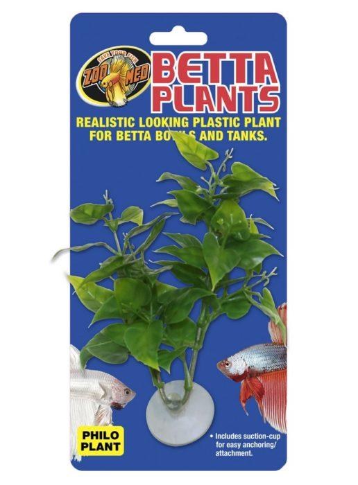 ZM Betta Plant Philo