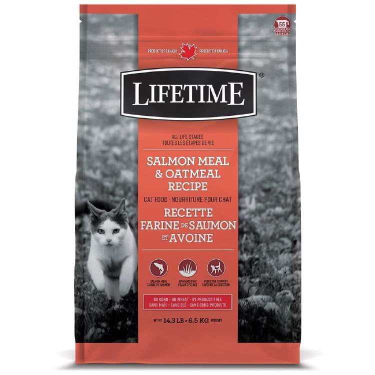 Lifetime Cat Salmon & Oatmeal 15lb