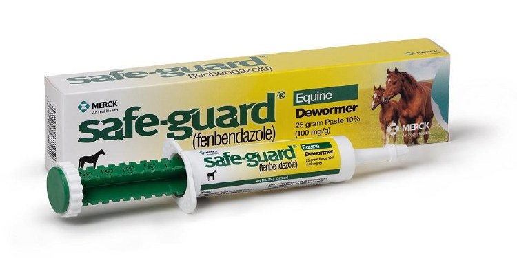 Wormer- Safeguard Paste