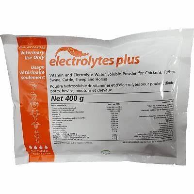 Electrolytes Plus Sol.Pwd.400g