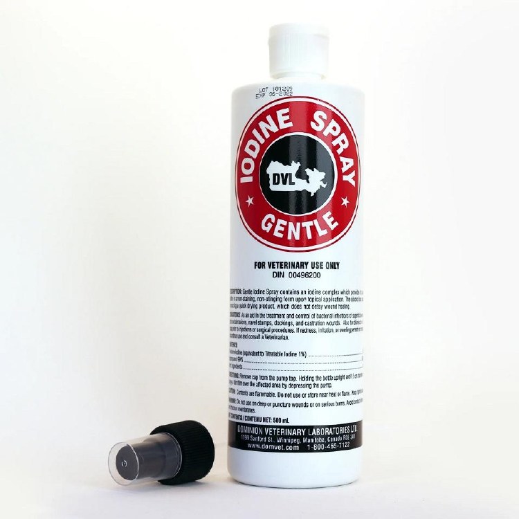 Iodine Spray 1%      500ml