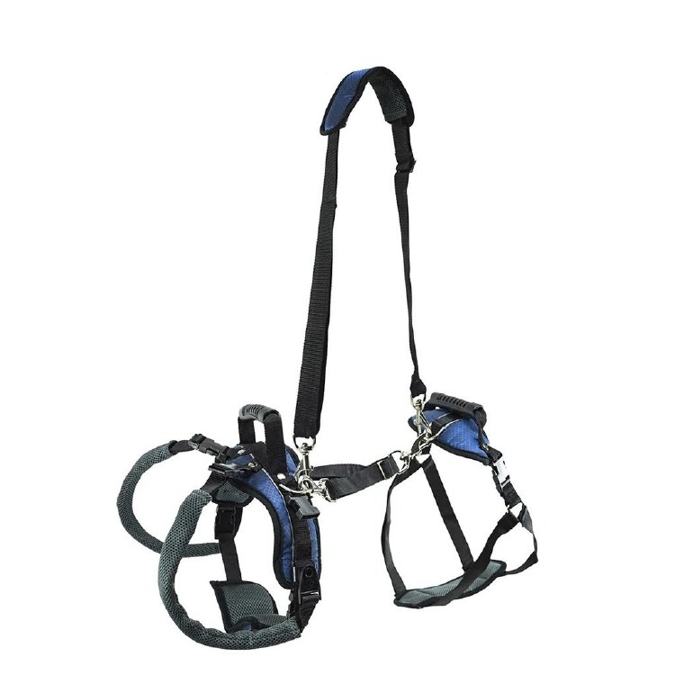 Carelift Full Lift Harness Large