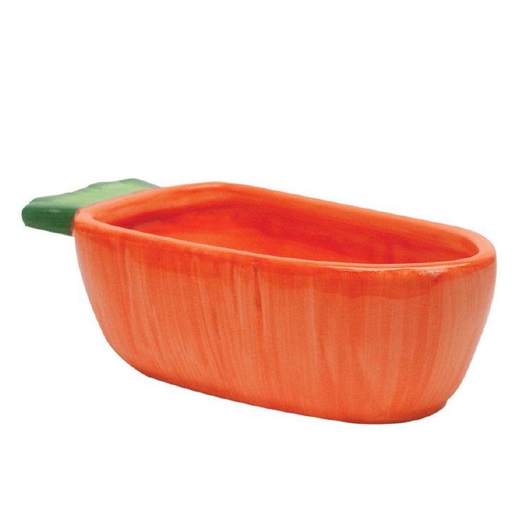 Vege-T-Bowl Carrot