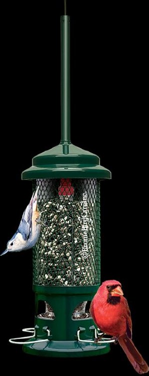 Squirrel Buster Standard