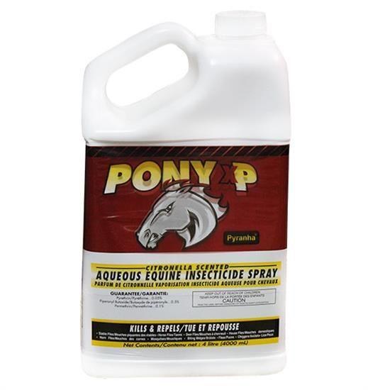 Pony XP 4L