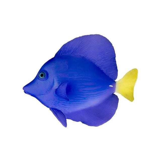AT Purple Tang