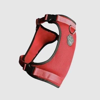 Canada Pooch Everthing Harness Red