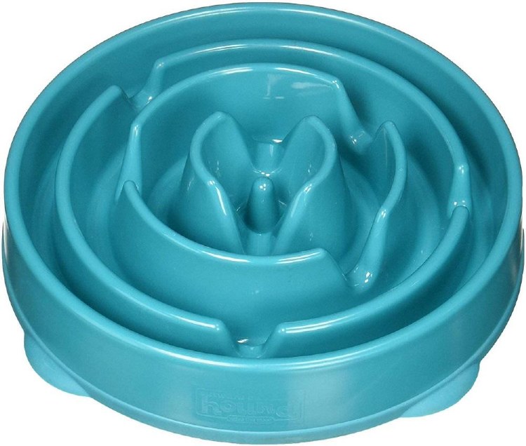 Slow Feed Bowl Teal S