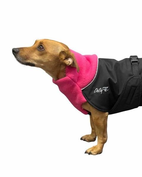 Chilly Dogs Great White North Pink 20"