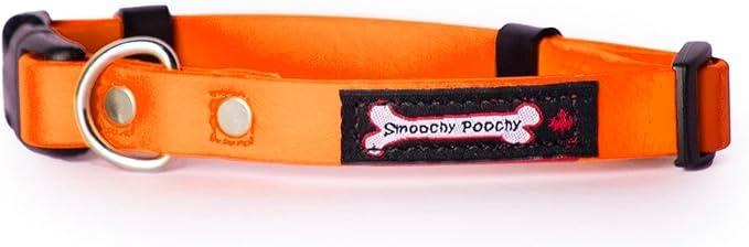 Smoochy Poochy Poly Collar M Orange