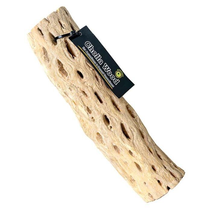 Cholla Wood Branches 12in