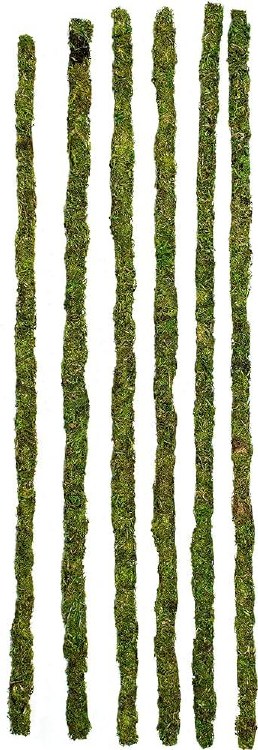Mossy Sticks 18in 6pc