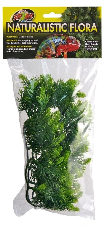 ZM Malaysian Fern Md