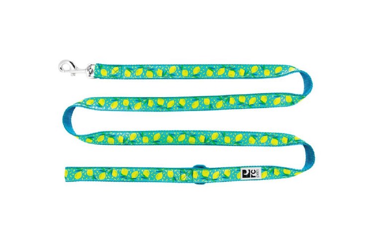 RC Pet Leash 3/4x 6' Pineapple