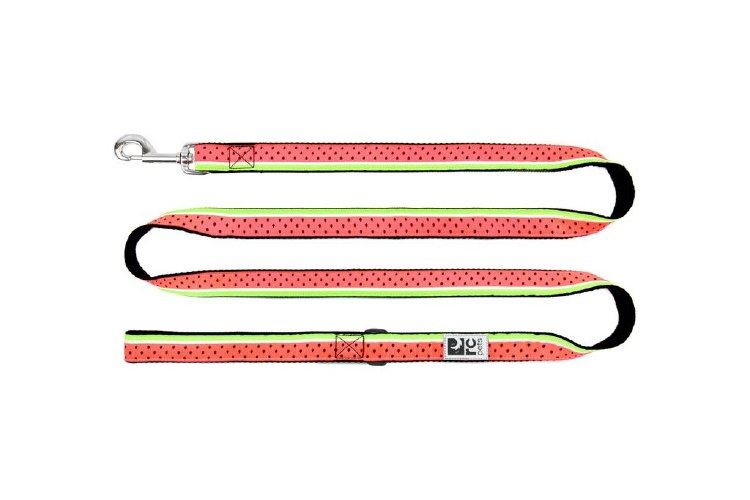 RC Pet Leash 3/4x 6' Watermelon
