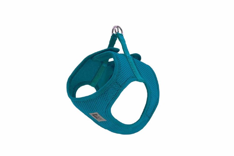 R.C Step-In Harness XXS Teal