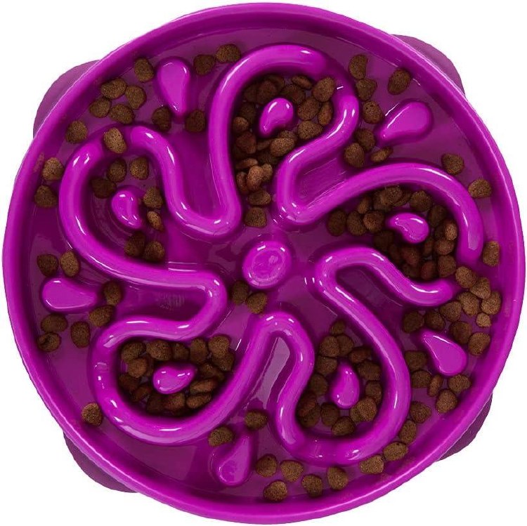 Slow Feed Bowl Purple L