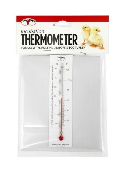 Incubator - Thermometer