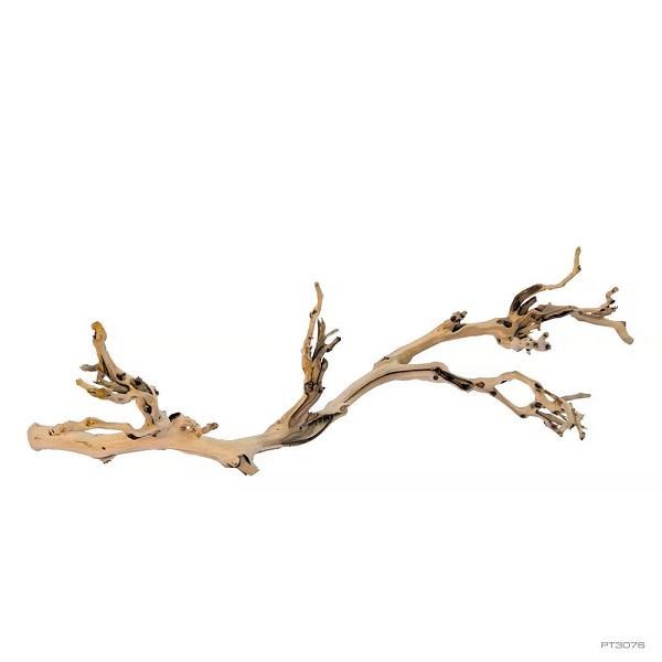 Exo Terra Forest Branch Lg