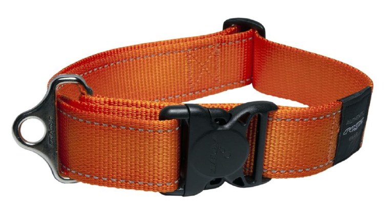 Rogz Landing Strip Collar Or