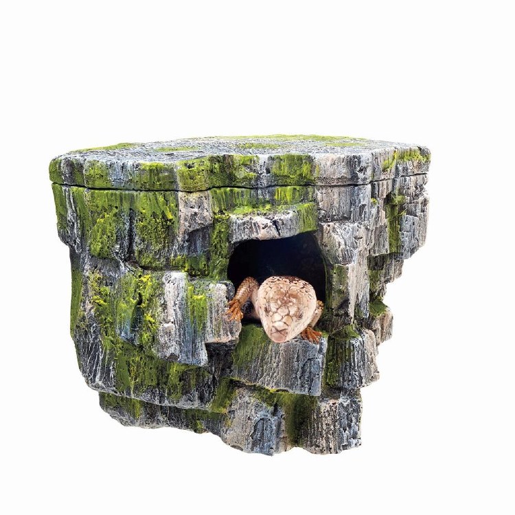 Zilla Rock Cave