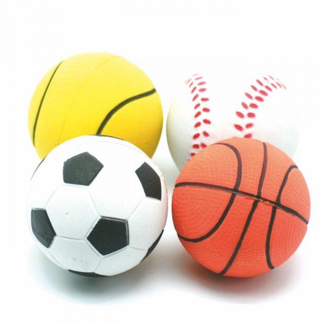 WonPet Sports Ball