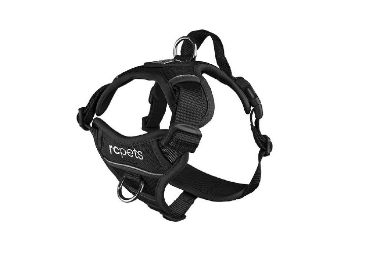 RC Pet Momentum Harness Black Sm