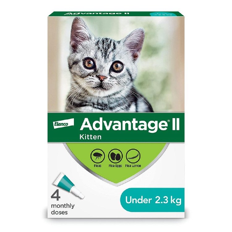 Advantagell Cat 4 Month Supply Under 2.3kg