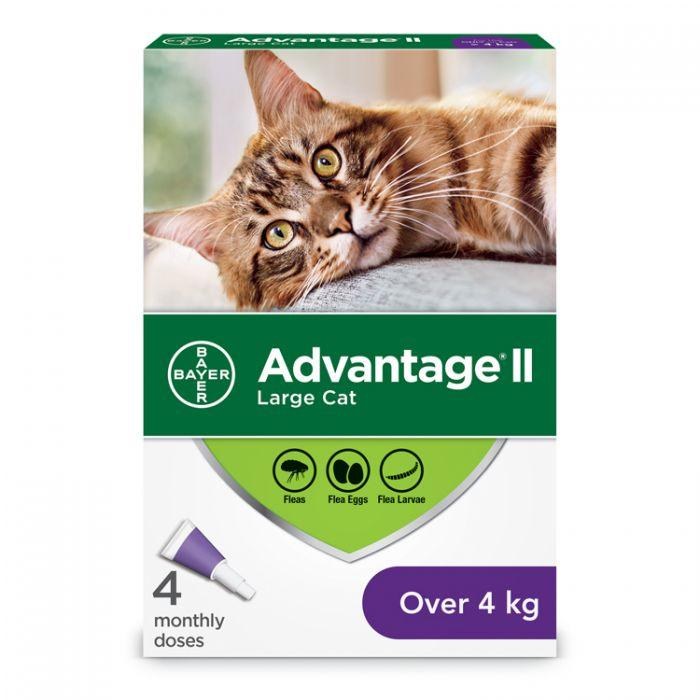 Advantagell Cat 4 Month Supply Over 4kg