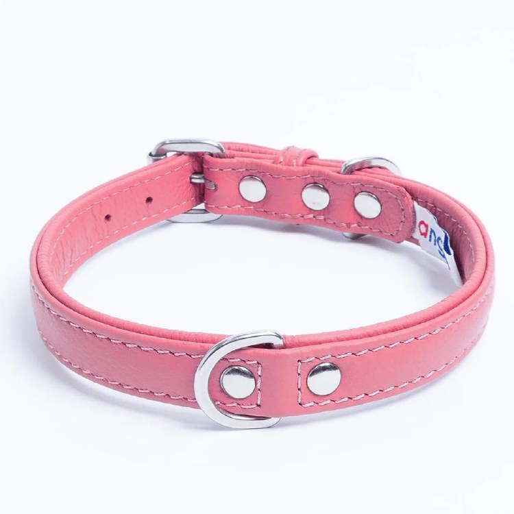 Angel Alpine Collar Pink 20"