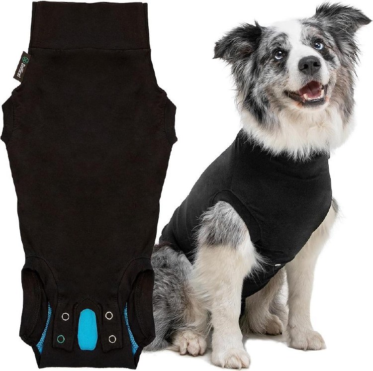 Suitical Recovery Suit Dog M