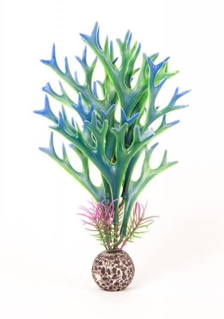 Staghorn Plant Bl/Gr Sm