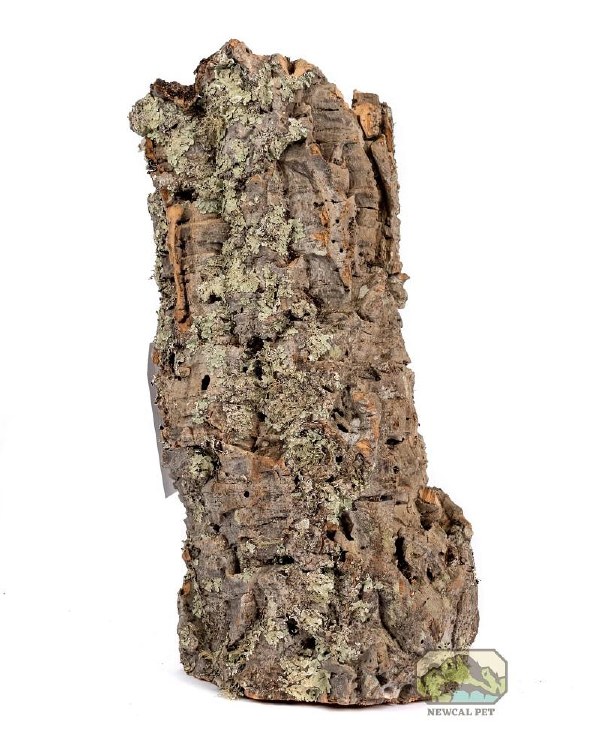 NewCal Cork Rounds Lg