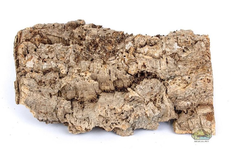 NewCal Cork Flats Med