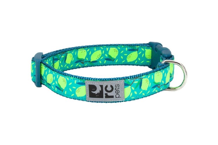 RC Clip Collar Wide 15-25in Pineapple