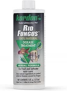 Kordon Rid Fungus 4oz
