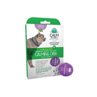 Acorn Calming Disc Cat